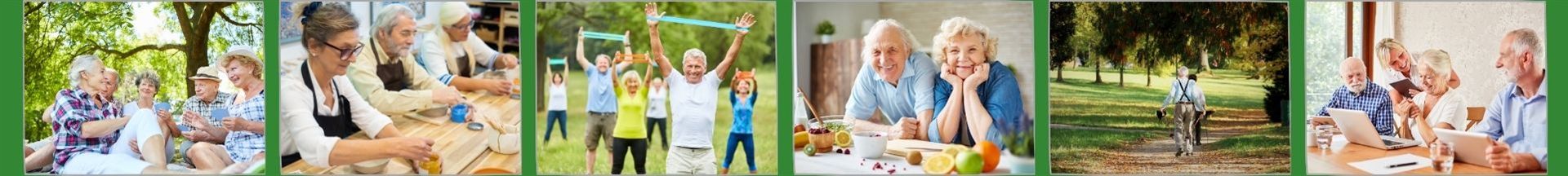 Header Seniorenbeirat 1920 x 217